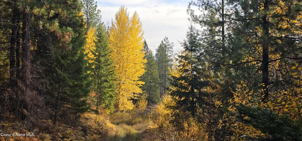 125 Tracker Way Priest River, ID 83856