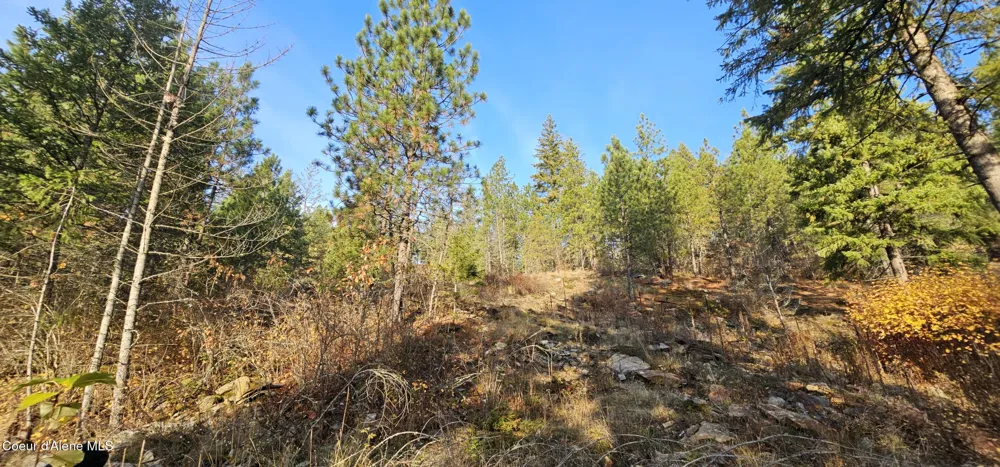 125 Tracker Way Priest River, ID 83856