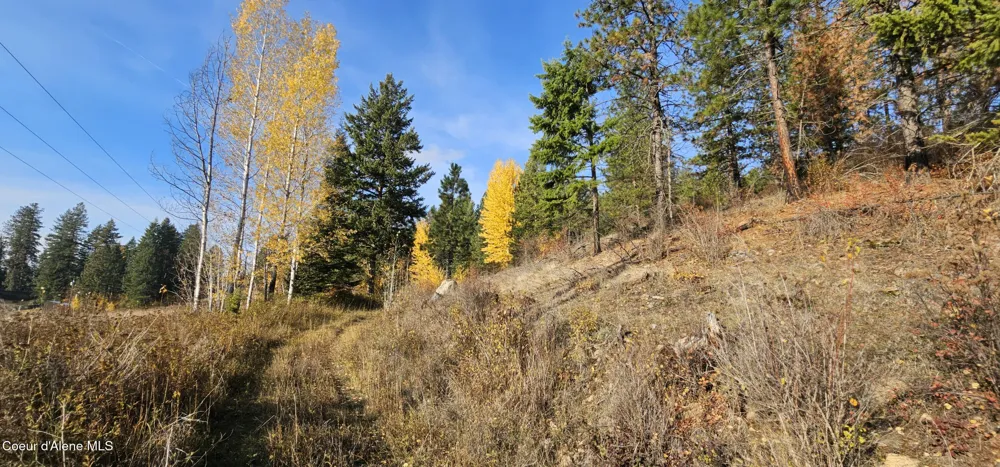 125 Tracker Way Priest River, ID 83856