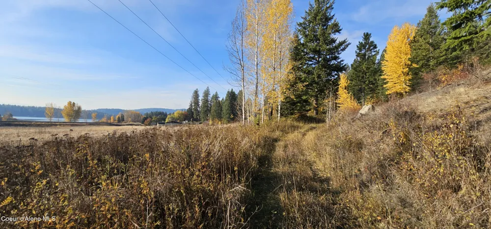 125 Tracker Way Priest River, ID 83856