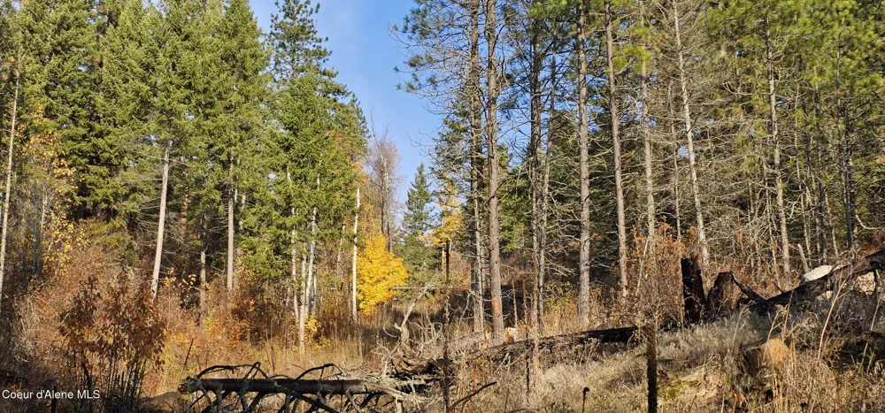 125 Tracker Way Priest River, ID 83856