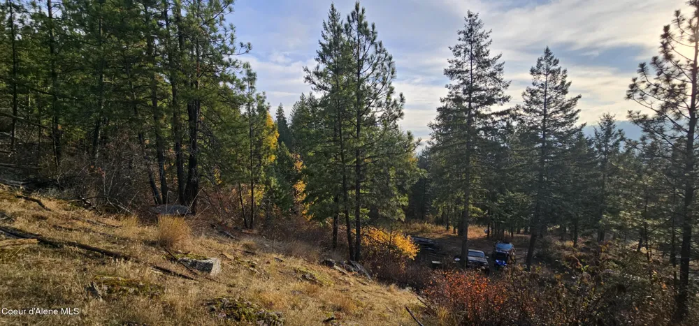 125 Tracker Way Priest River, ID 83856