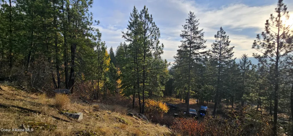 125 Tracker Way Priest River, ID 83856