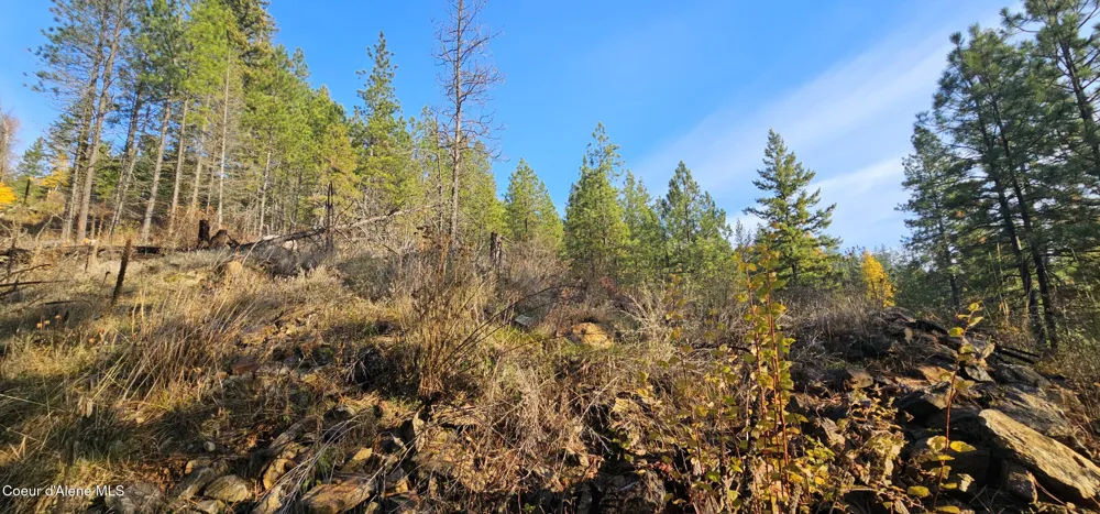 125 Tracker Way Priest River, ID 83856
