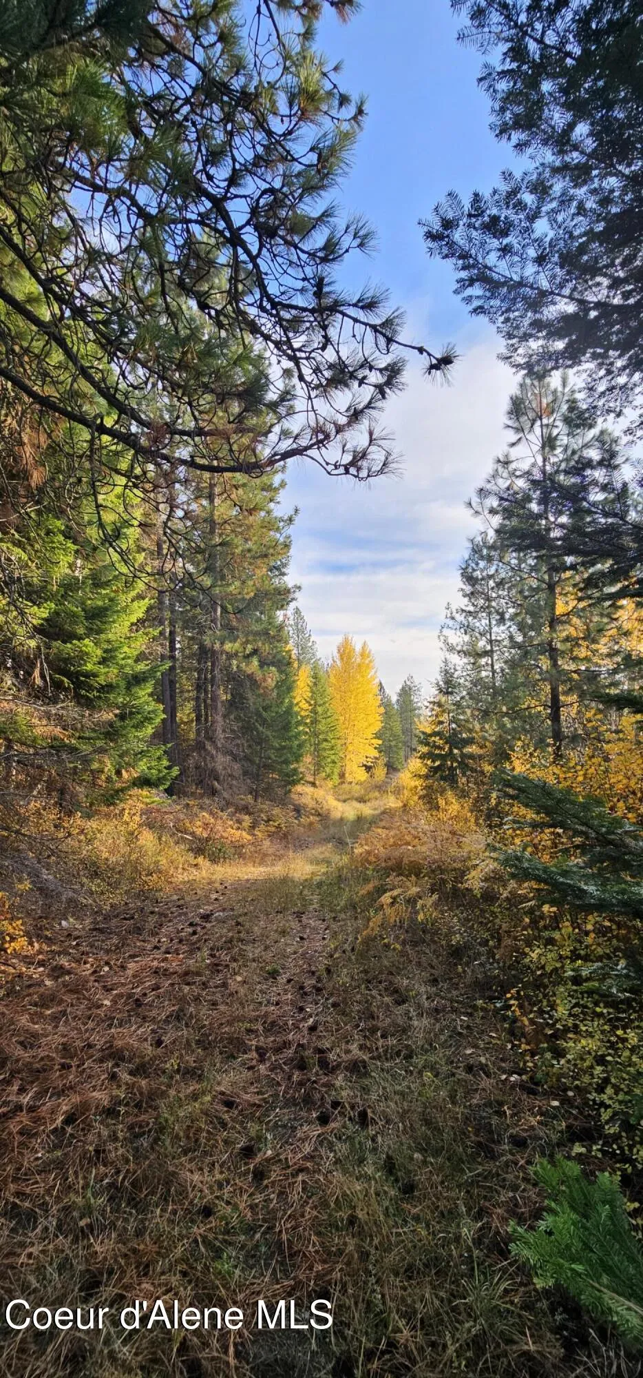 125 Tracker Way Priest River, ID 83856