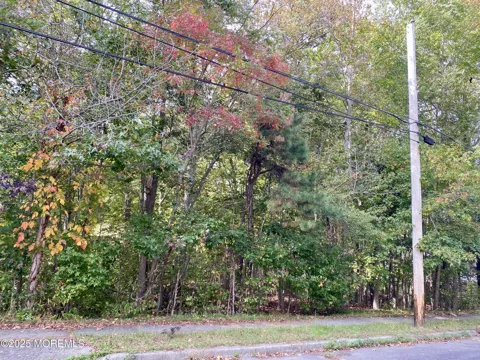 58 Johnson Lane