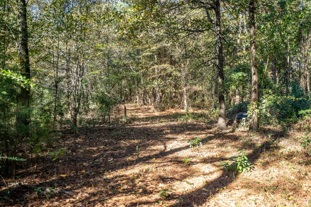 County Road 4105 Daingerfield, TX 75638