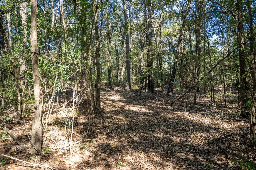 County Road 4105 Daingerfield, TX 75638