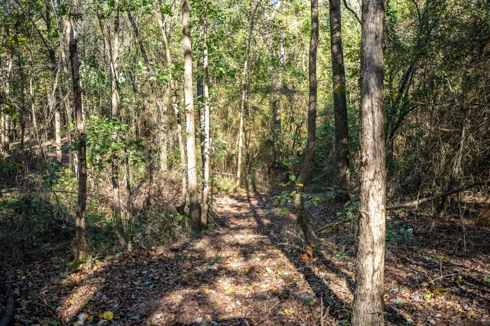 County Road 4105 Daingerfield, TX 75638