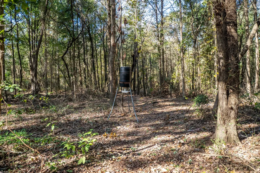 County Road 4105 Daingerfield, TX 75638