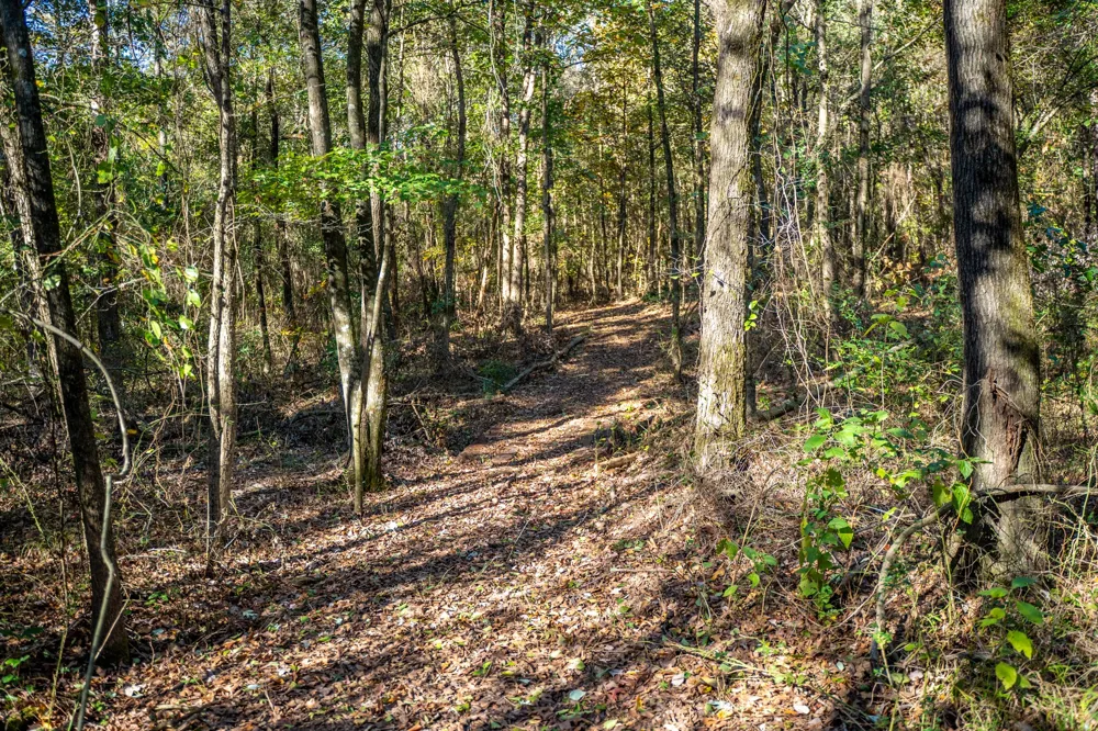 County Road 4105 Daingerfield, TX 75638