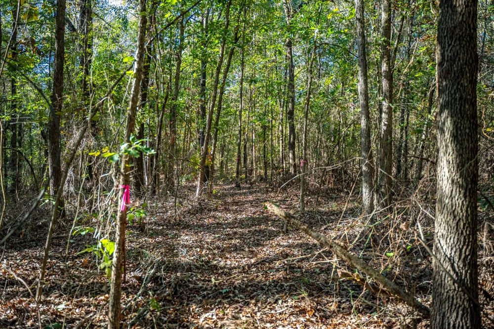 County Road 4105 Daingerfield, TX 75638