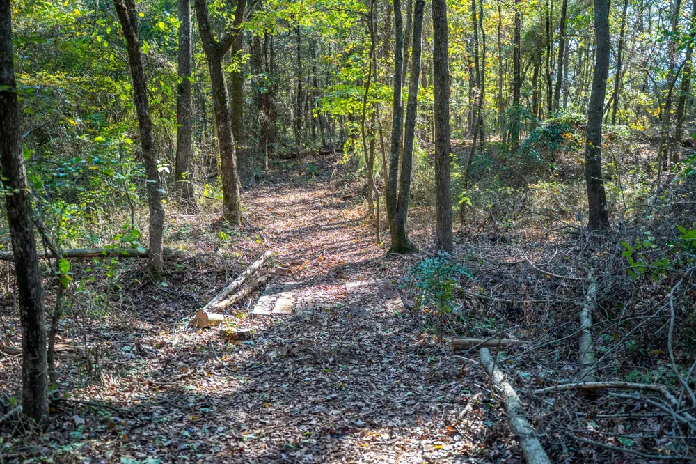 County Road 4105 Daingerfield, TX 75638