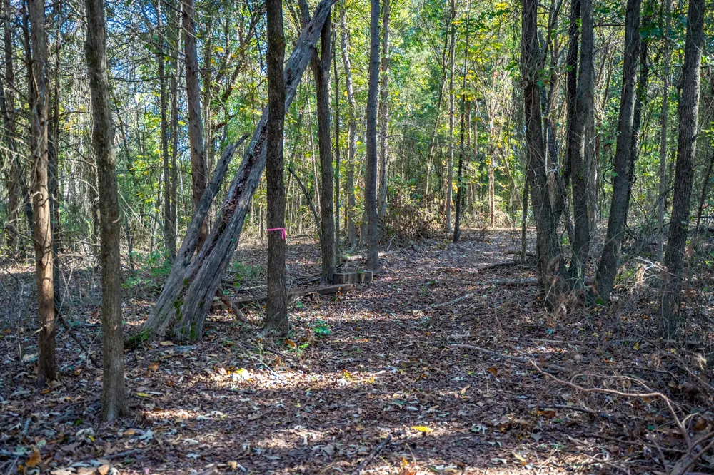 County Road 4105 Daingerfield, TX 75638