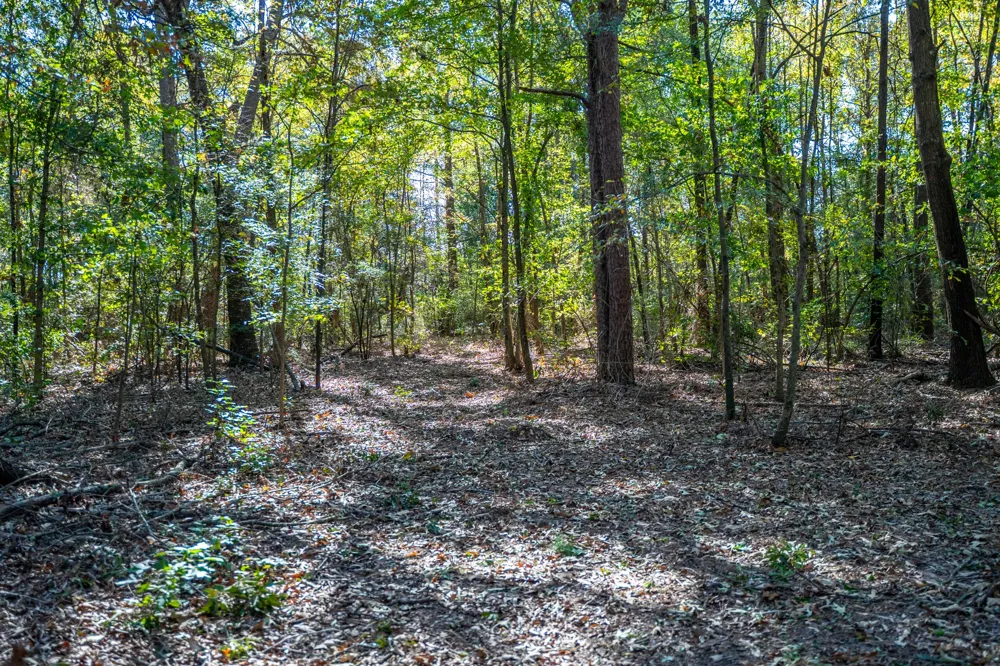 County Road 4105 Daingerfield, TX 75638