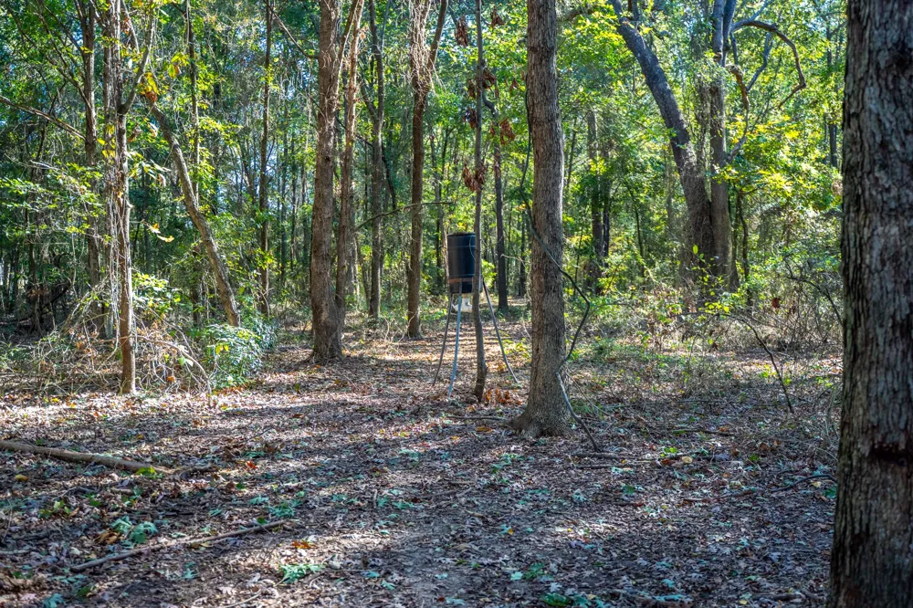 County Road 4105 Daingerfield, TX 75638