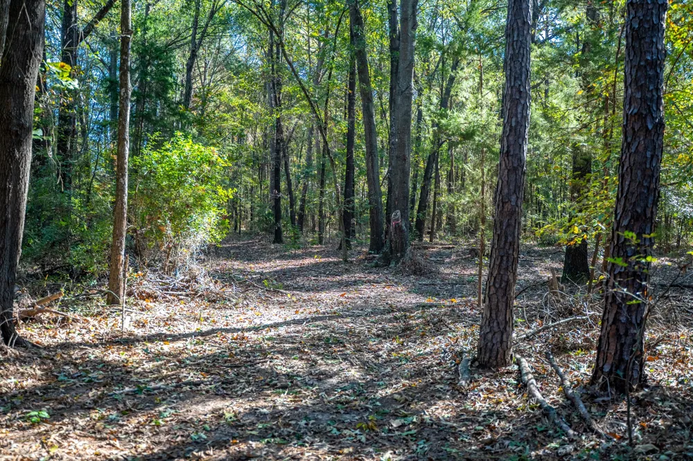 County Road 4105 Daingerfield, TX 75638