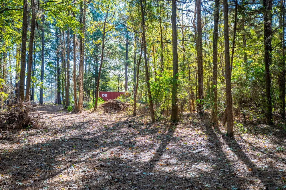 County Road 4105 Daingerfield, TX 75638