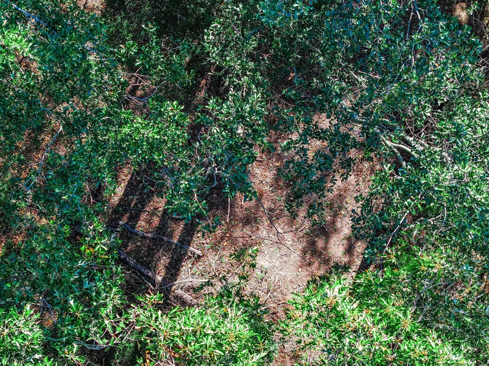 County Road 4105 Daingerfield, TX 75638