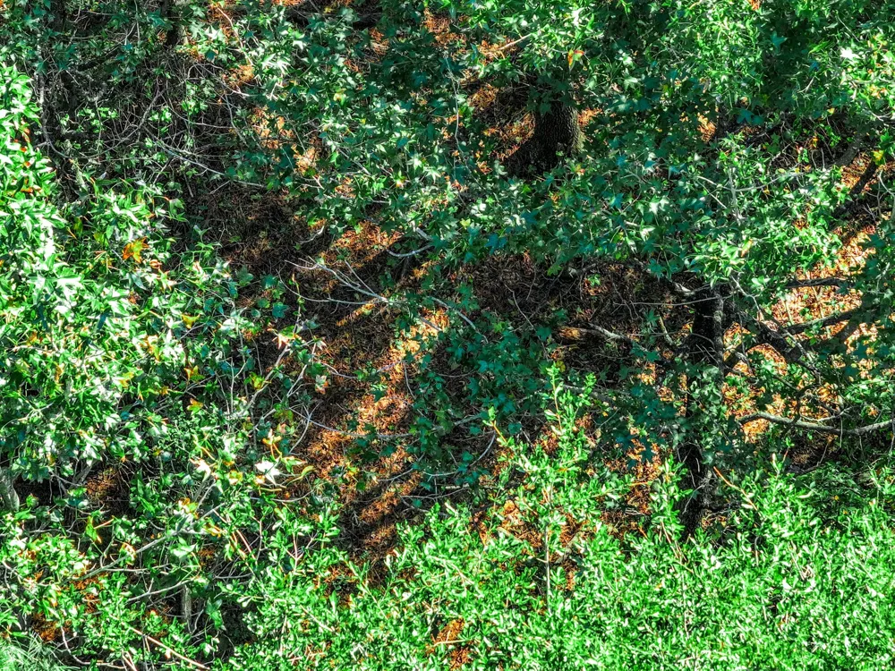 County Road 4105 Daingerfield, TX 75638