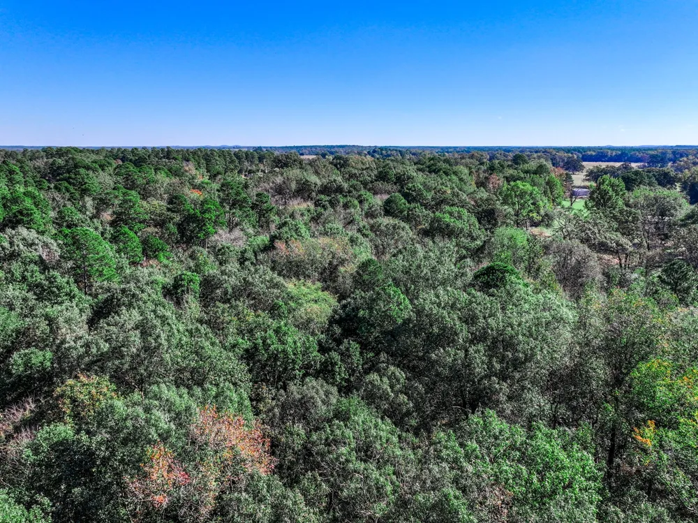 County Road 4105 Daingerfield, TX 75638
