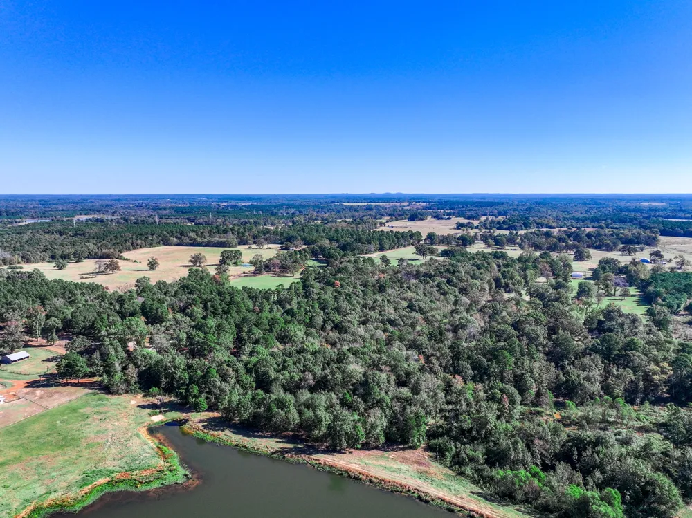 County Road 4105 Daingerfield, TX 75638