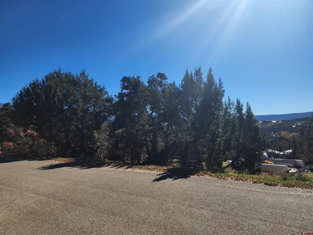 242 Fir Avenue Crawford, CO 81415