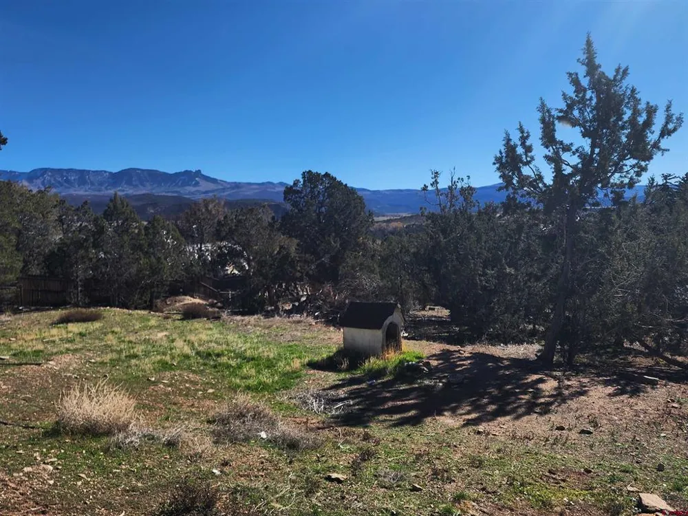 242 Fir Avenue Crawford, CO 81415