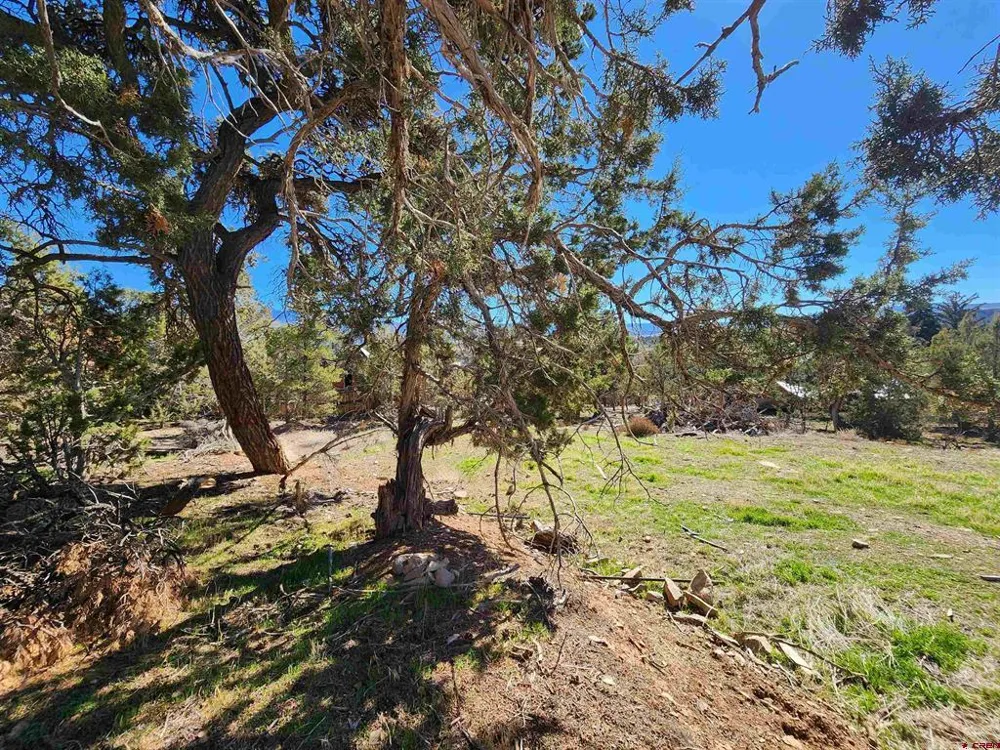 242 Fir Avenue Crawford, CO 81415