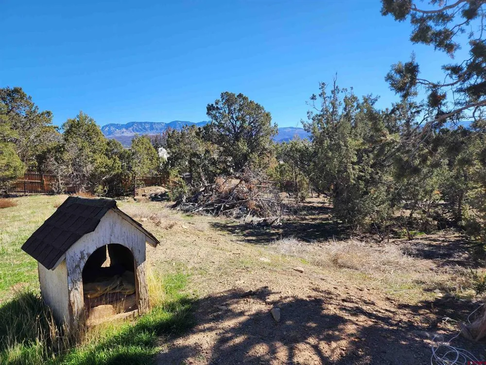 242 Fir Avenue Crawford, CO 81415