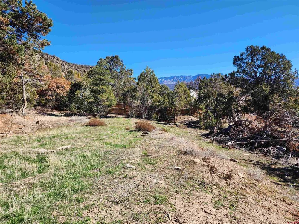 242 Fir Avenue Crawford, CO 81415