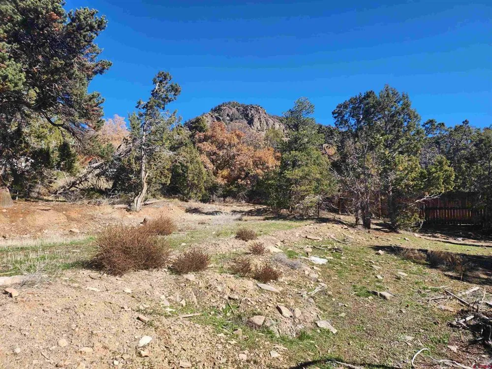 242 Fir Avenue Crawford, CO 81415
