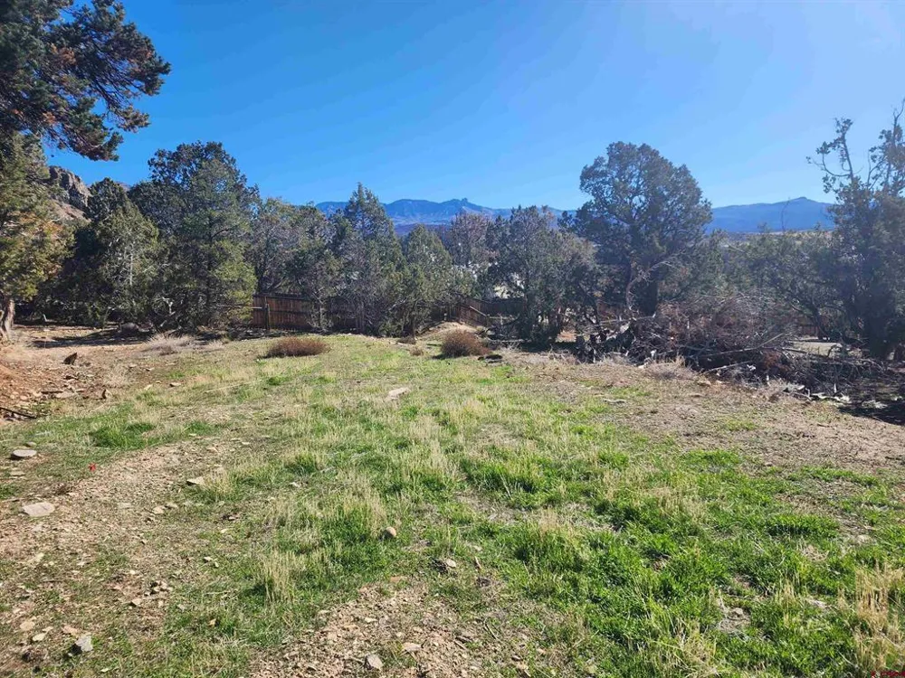 242 Fir Avenue Crawford, CO 81415