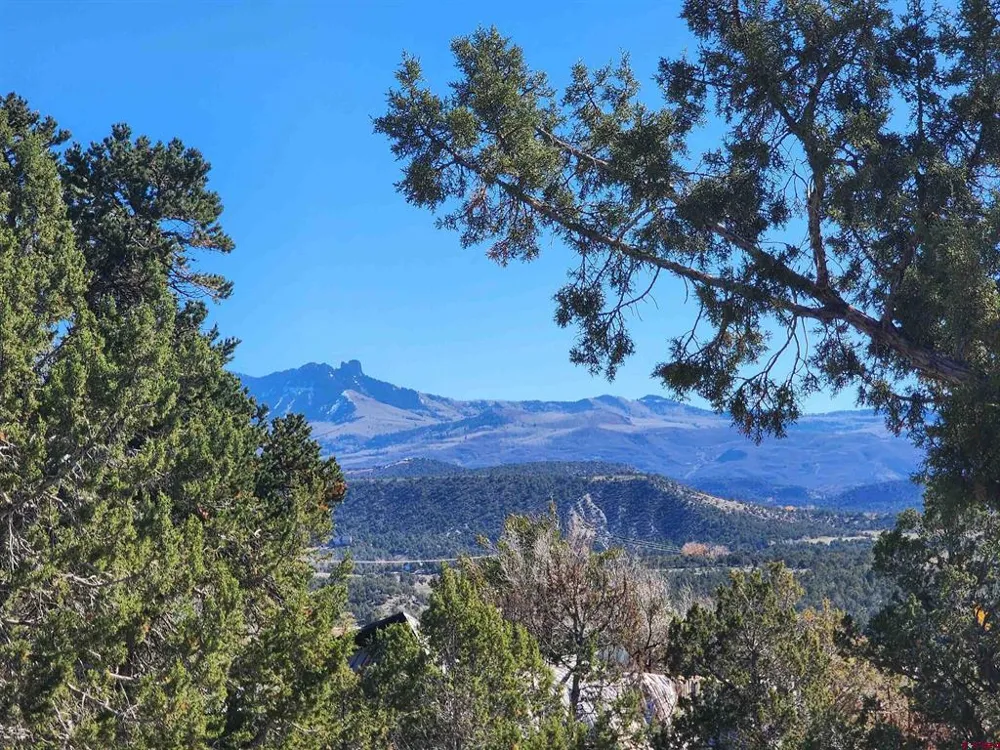 242 Fir Avenue Crawford, CO 81415
