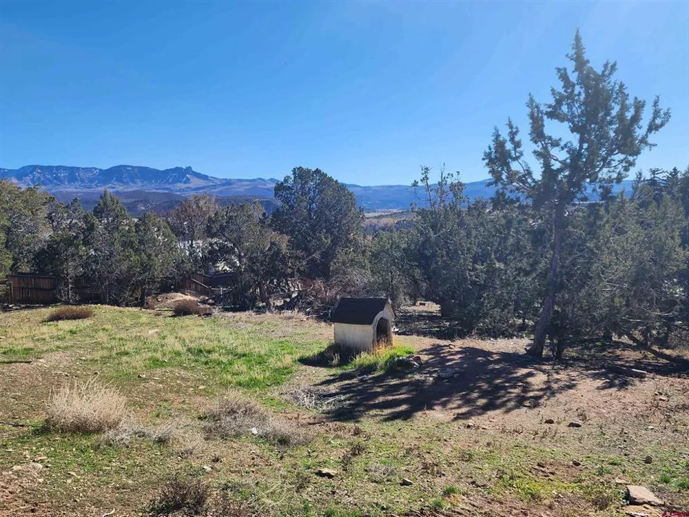 242 Fir Avenue Crawford, CO 81415