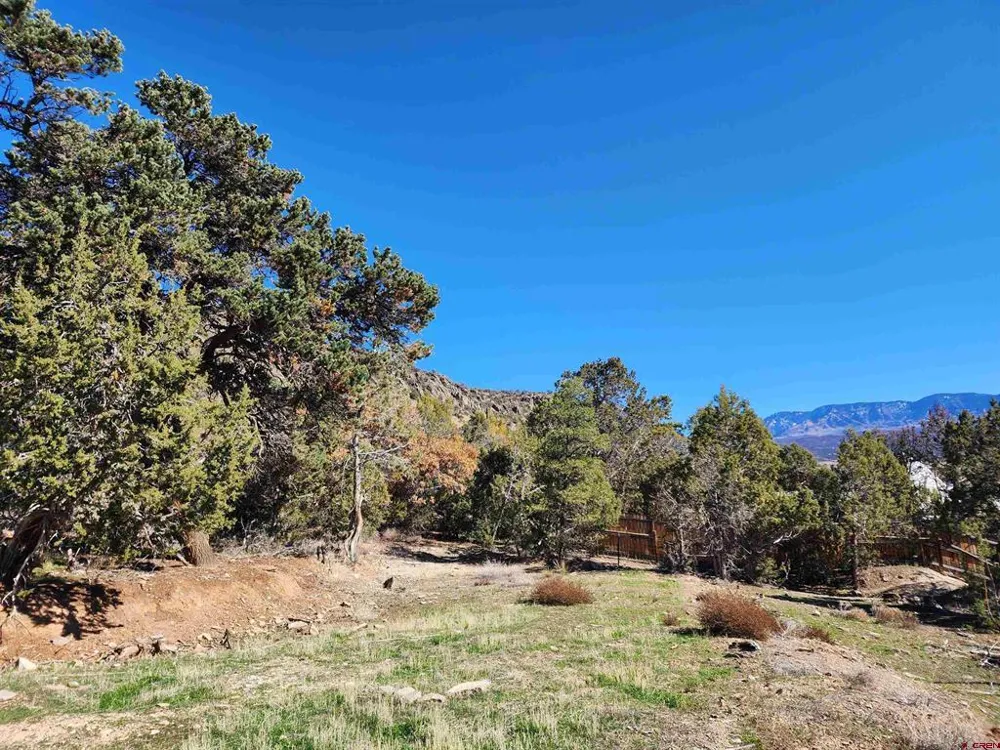 242 Fir Avenue Crawford, CO 81415