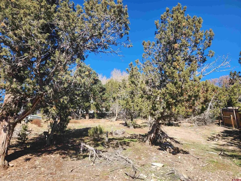242 Fir Avenue Crawford, CO 81415