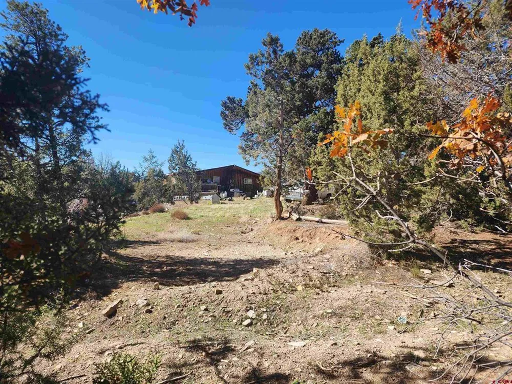 242 Fir Avenue Crawford, CO 81415