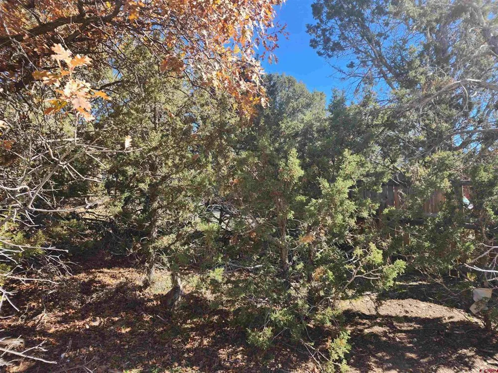 242 Fir Avenue Crawford, CO 81415