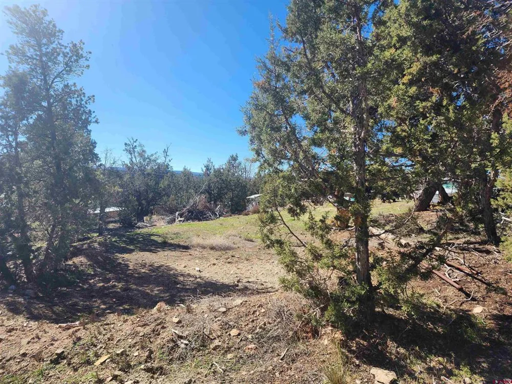 242 Fir Avenue Crawford, CO 81415