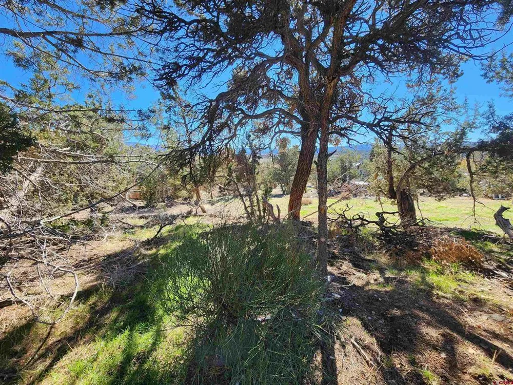 242 Fir Avenue Crawford, CO 81415