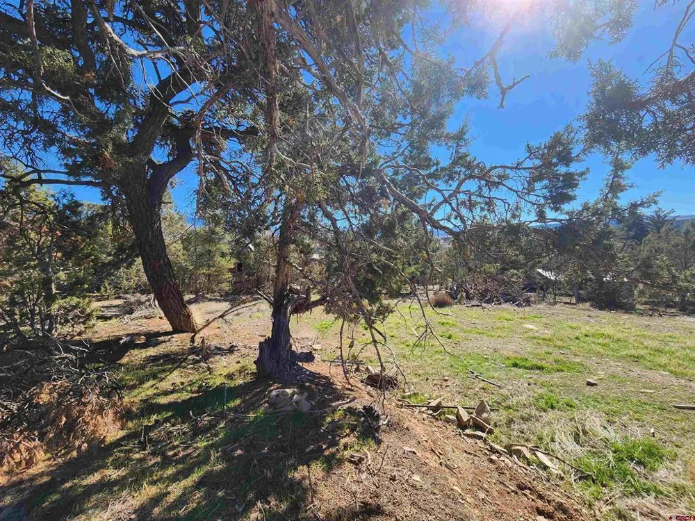 242 Fir Avenue Crawford, CO 81415