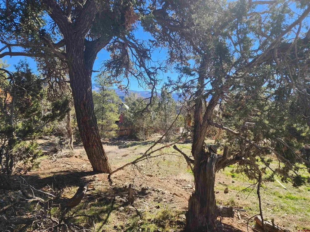 242 Fir Avenue Crawford, CO 81415