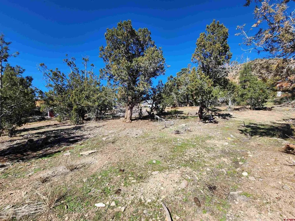 242 Fir Avenue Crawford, CO 81415