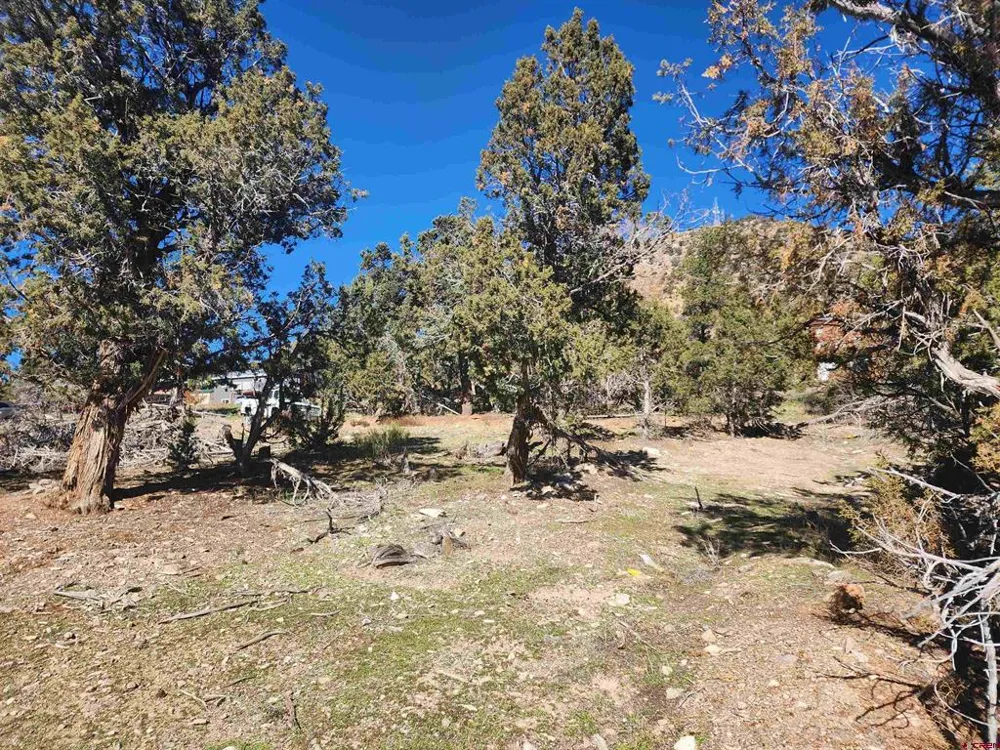 242 Fir Avenue Crawford, CO 81415