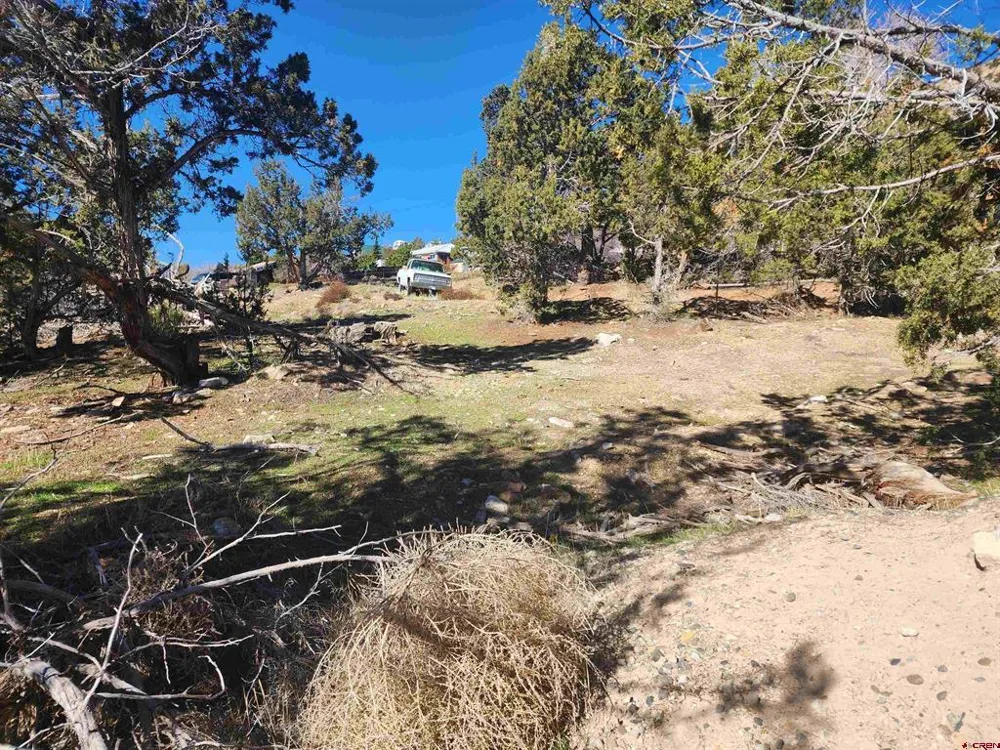 242 Fir Avenue Crawford, CO 81415