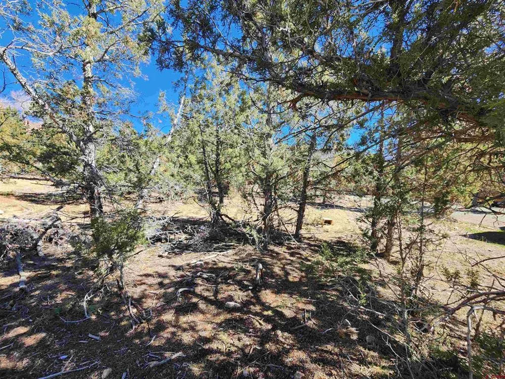 242 Fir Avenue Crawford, CO 81415