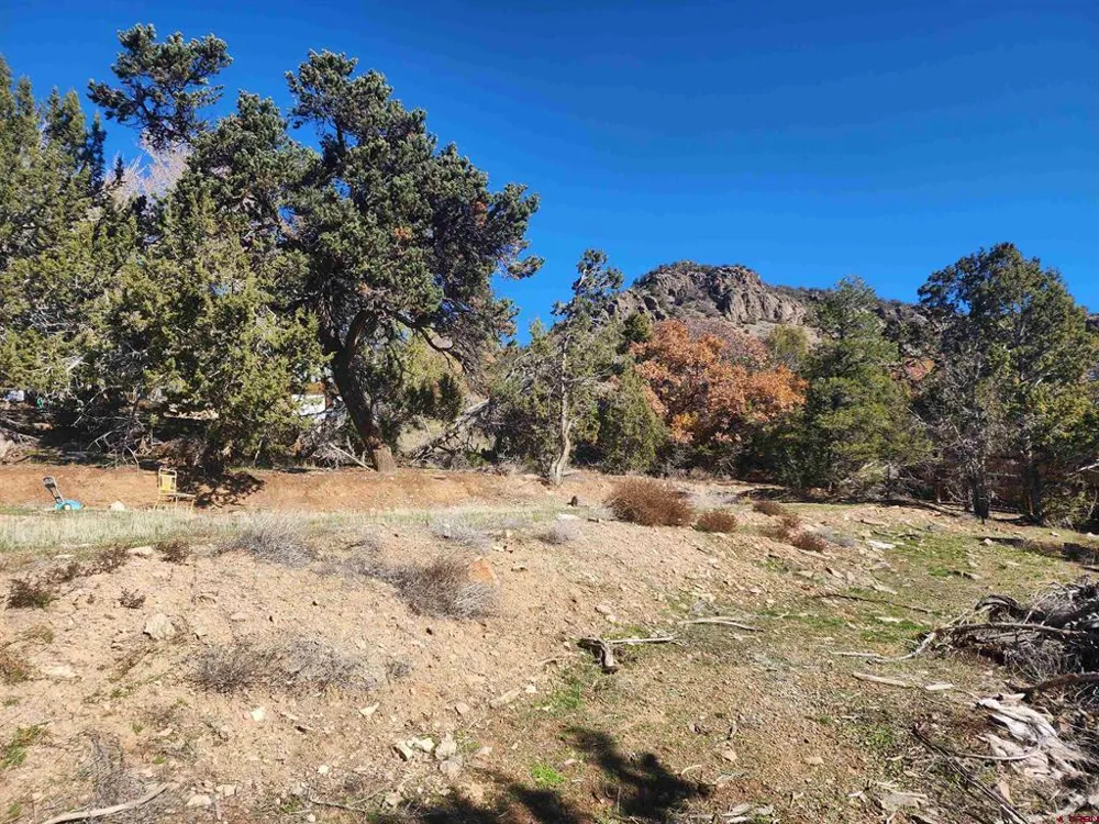 242 Fir Avenue Crawford, CO 81415