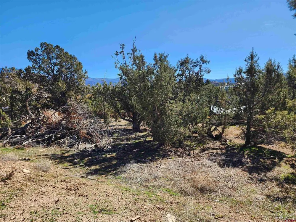 242 Fir Avenue Crawford, CO 81415