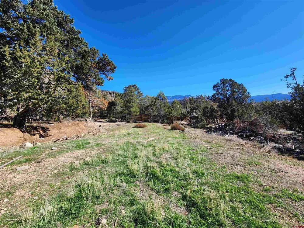 242 Fir Avenue Crawford, CO 81415